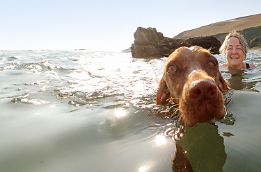 Older woman swimming in a lake with a brown dog