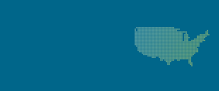 Pixelated image of the United States